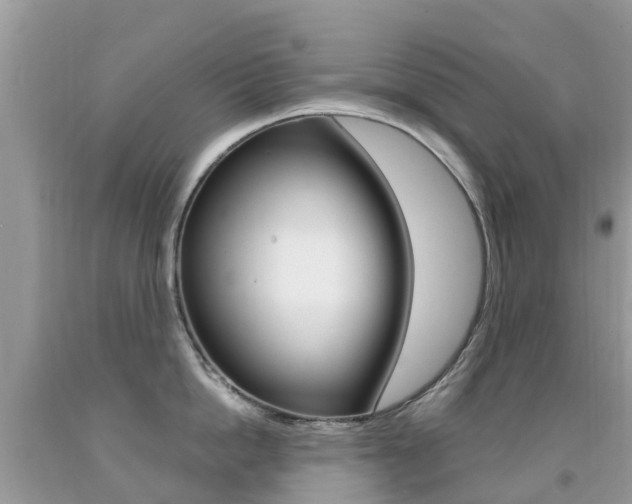 X0000091940862200709051301
