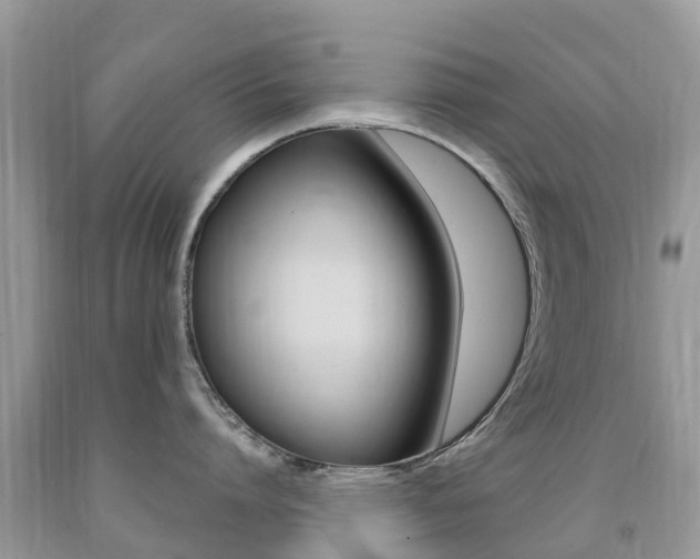 X0000091940864200709051301