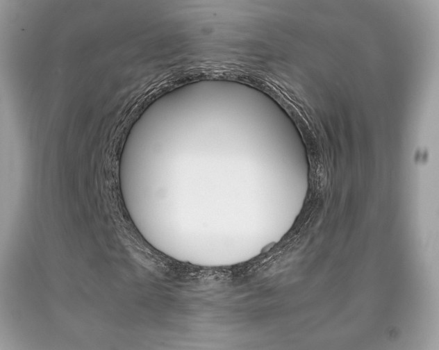 X0000091940865200709051300