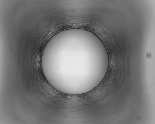 X0000091940866200709051300