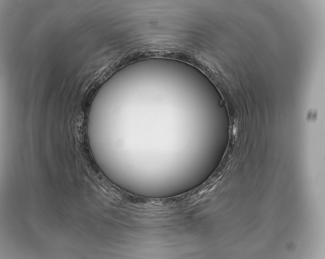 X0000091940867200709051300