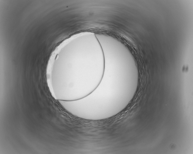 X0000091940869200709051300