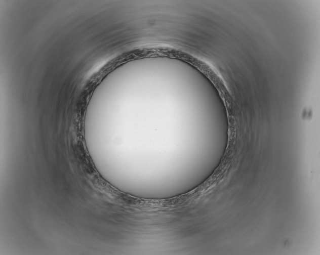 X0000091940871200709051300