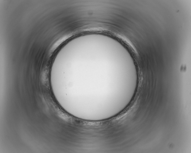 X0000091940874200709051300