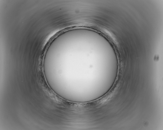 X0000091940875200709051300