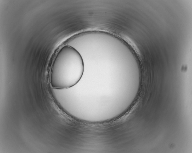 X0000091940876200709051300