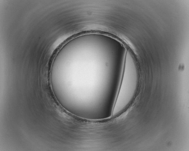 X0000091940877200709051300