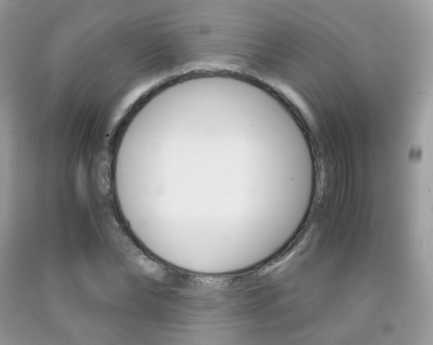 X0000091940878200709051300