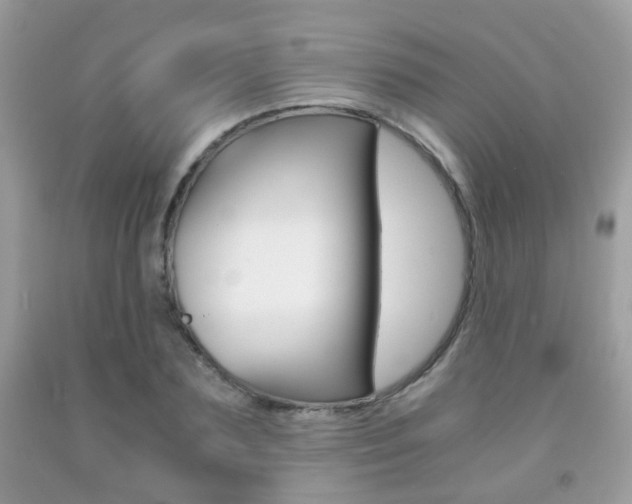 X0000091940883200709051300