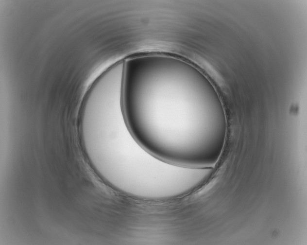 X0000091940885200709051300