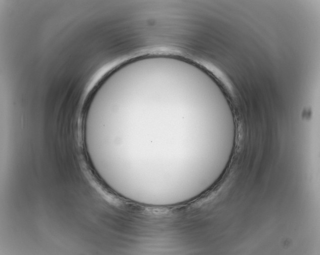 X0000091940886200709051300
