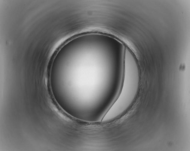 X0000091940888200709051300
