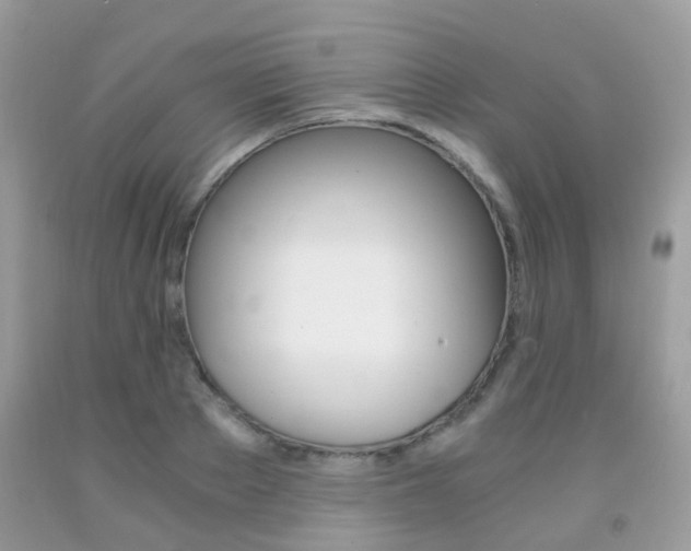 X0000091940889200709051300