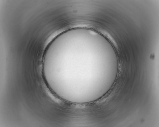 X0000091940890200709051300