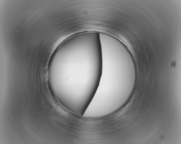 X0000091940891200709051300