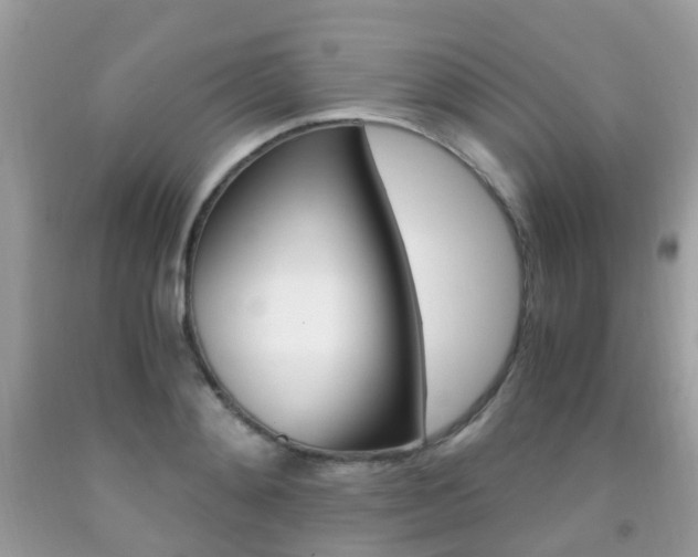 X0000091940892200709051300