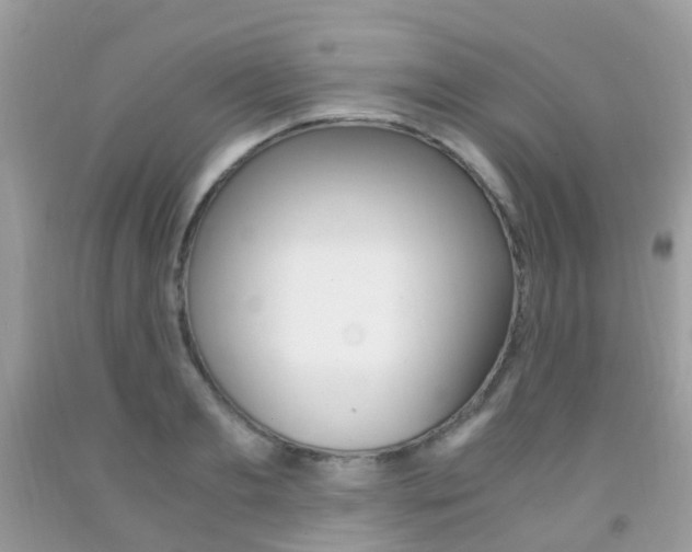 X0000091940893200709051300