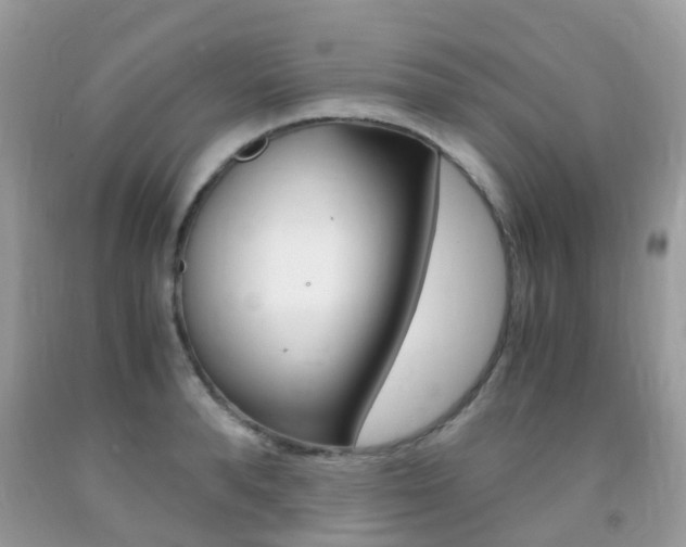 X0000091940896200709051300