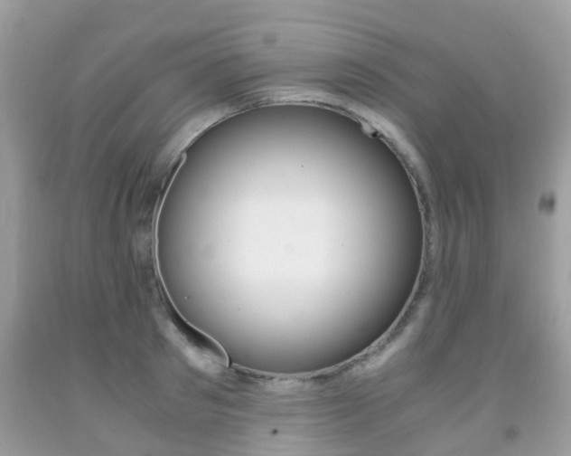 X0000091940897200709051300
