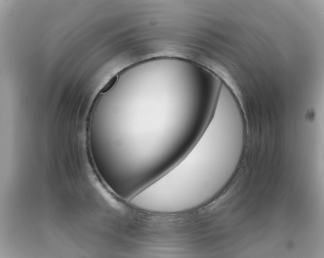 X0000091940898200709051300