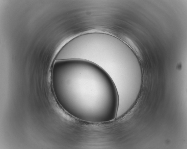 X0000091940900200709051300