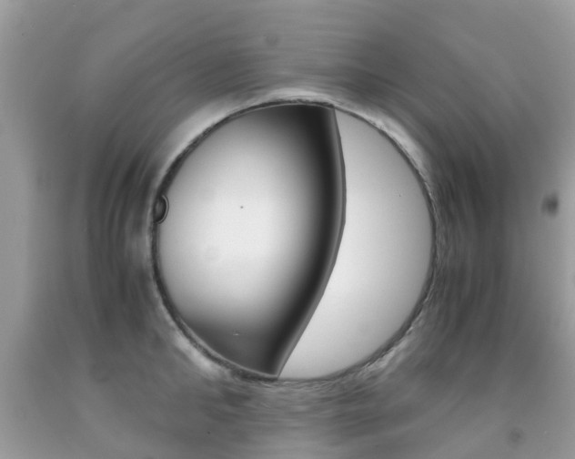 X0000091940902200709051300