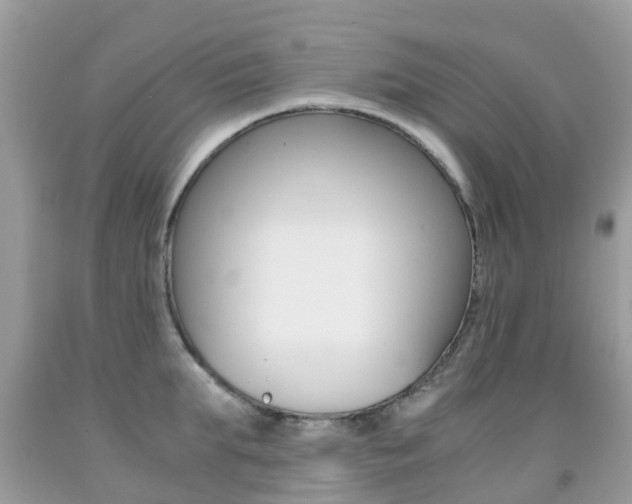 X0000091940903200709051300