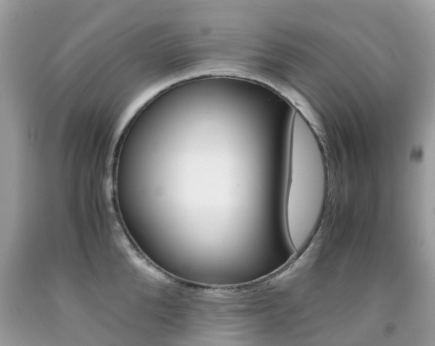 X0000091940904200709051300