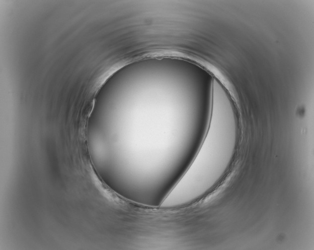 X0000091940905200709051300