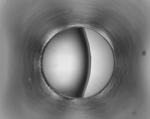X0000091940906200709051300