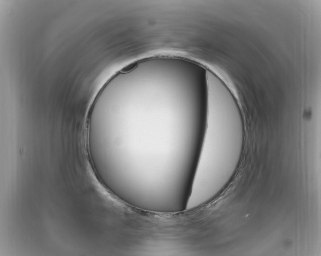 X0000091940911200709051300