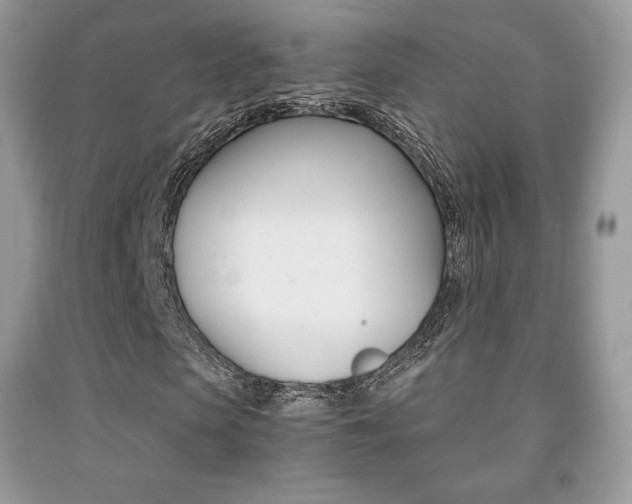 X0000091940913200709051259