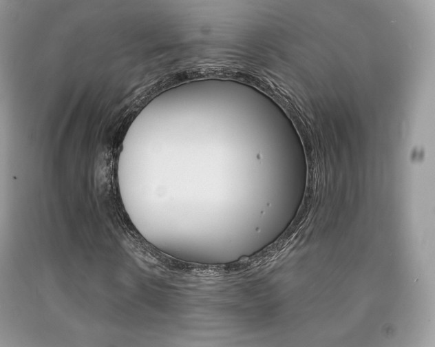 X0000091940914200709051259