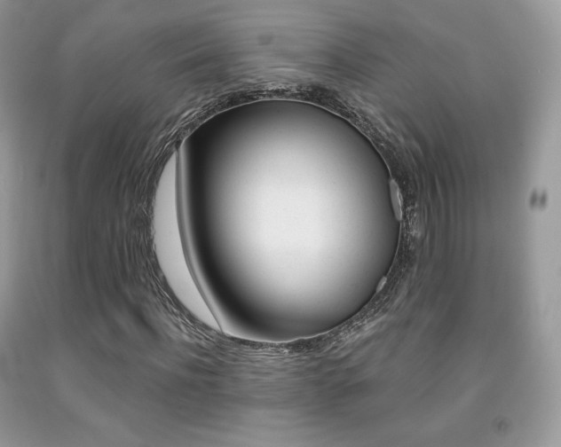 X0000091940916200709051259