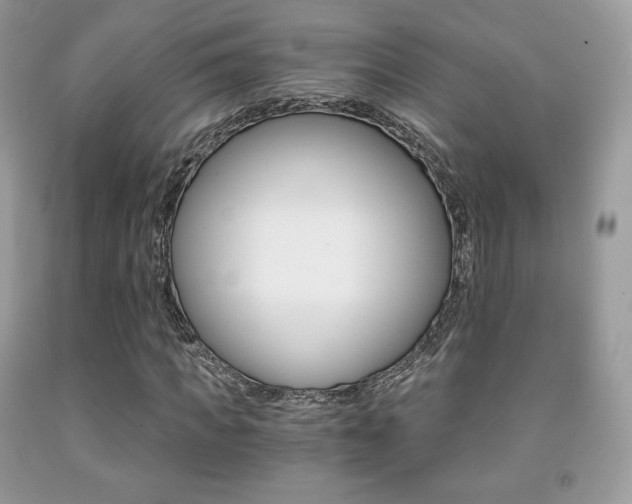 X0000091940917200709051259