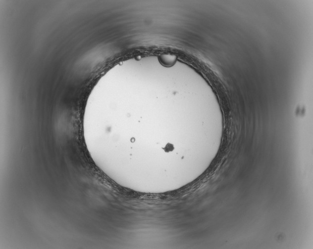 X0000091940918200709051259