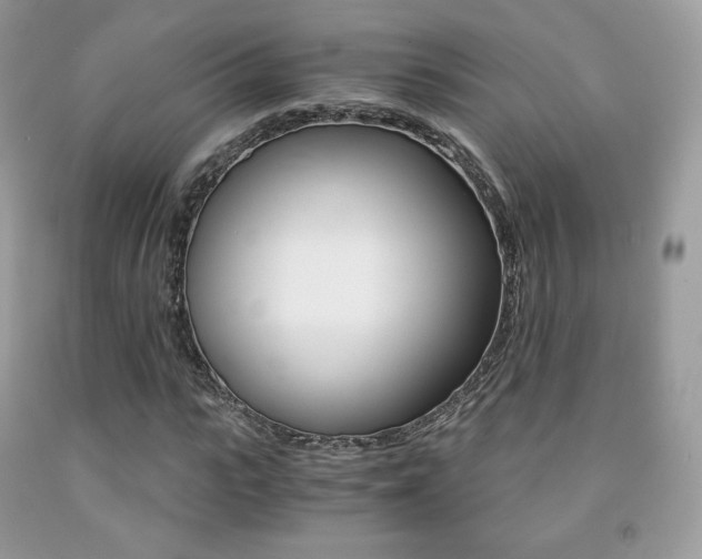 X0000091940919200709051259