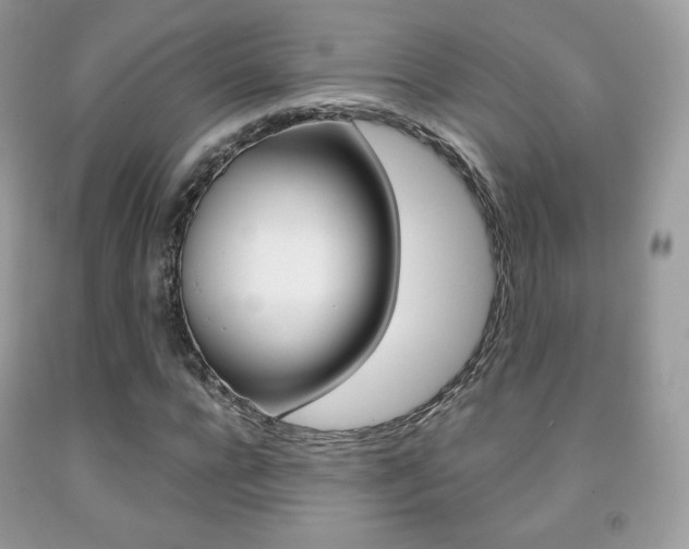 X0000091940920200709051259