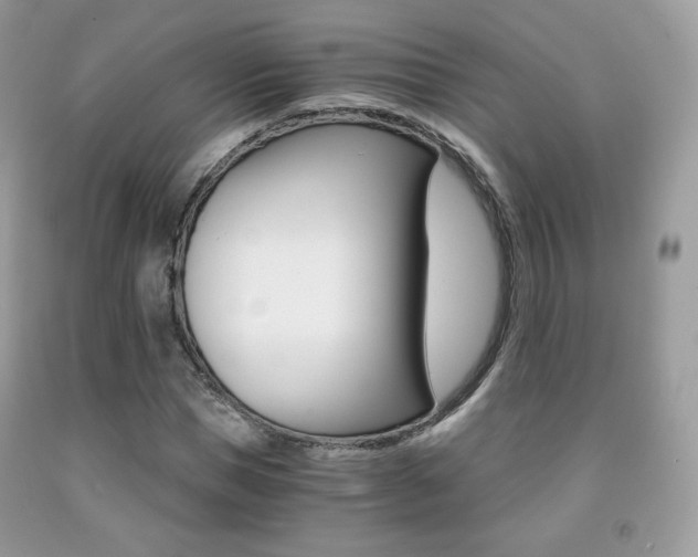 X0000091940921200709051259
