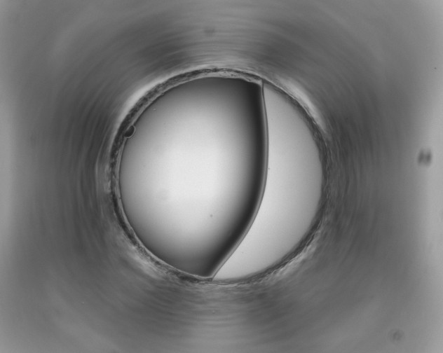 X0000091940924200709051259