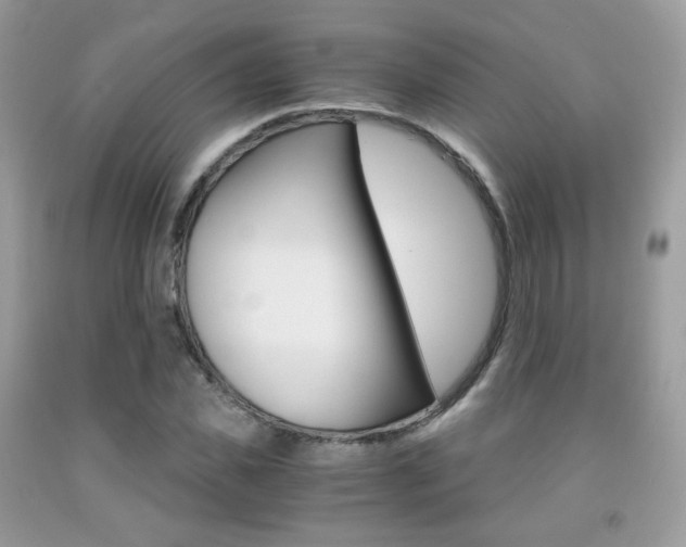 X0000091940925200709051259
