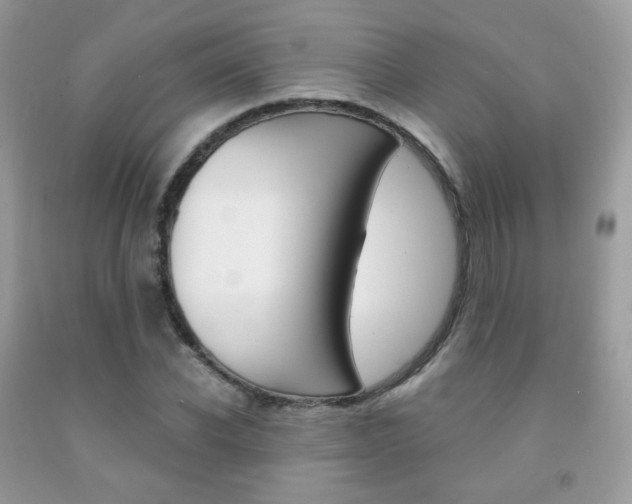 X0000091940926200709051259
