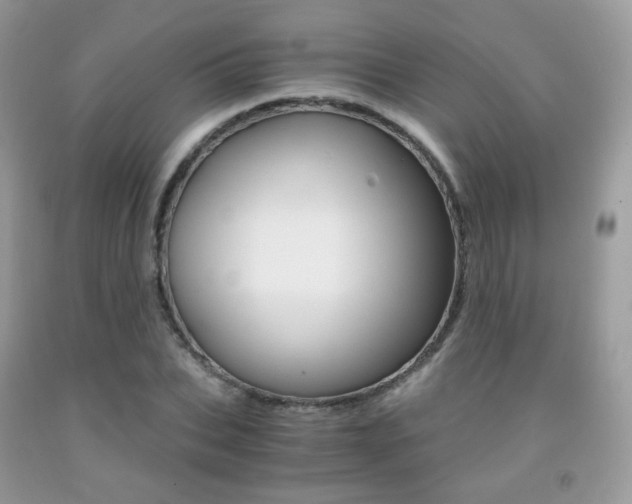 X0000091940927200709051259
