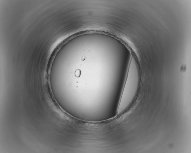 X0000091940928200709051259