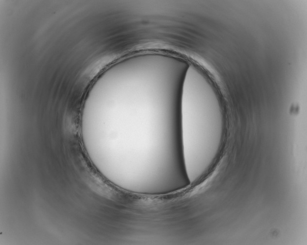 X0000091940929200709051259