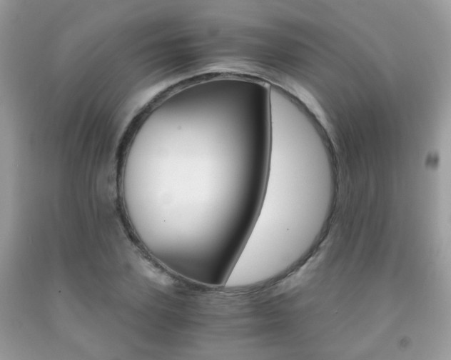 X0000091940931200709051259