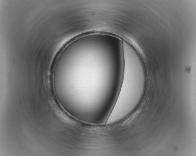 X0000091940932200709051259