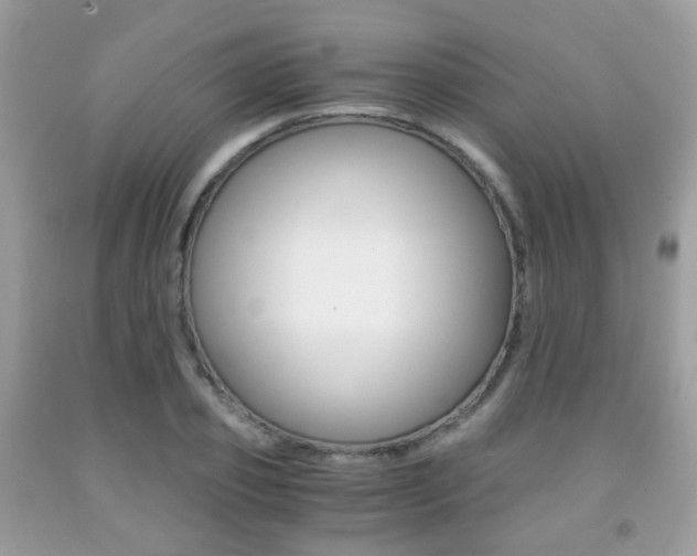 X0000091940933200709051259