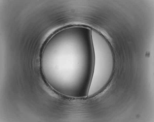X0000091940934200709051259