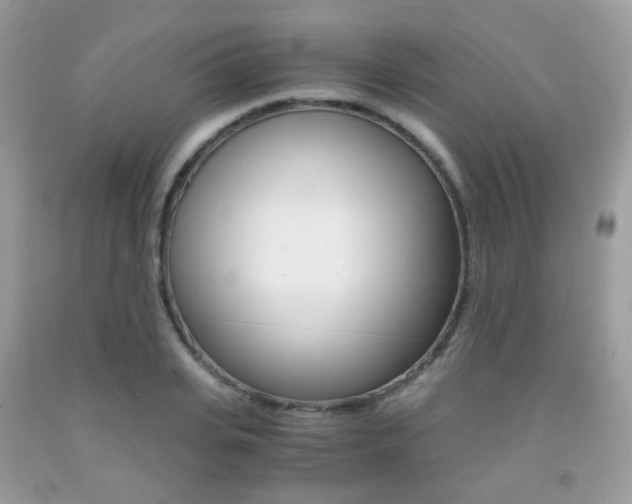 X0000091940935200709051259